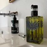 ベッド・アンド・ブレックファスト Tonelli Boutique リヴォルノ